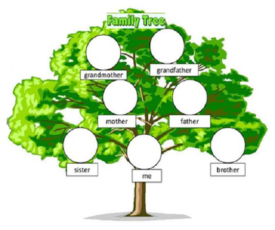 Angličtina pro nejmenší - rodinný strom