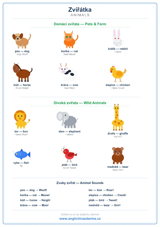 Výukový obrázek: zvířata anglicky — dog, cat, rabbit, horse, cow, chicken, lion, elephant, giraffe, fish, bird, bear